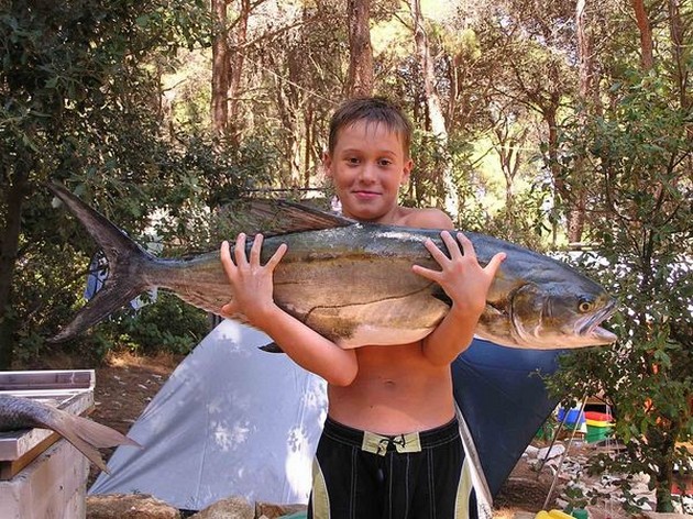 slike pula Cavalier & Blue Marlin Sport Fishing Gran Canaria