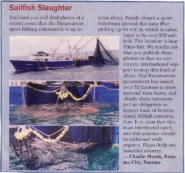 500 sailfish Cavalier & Blue Marlin Sport Fishing Gran Canaria