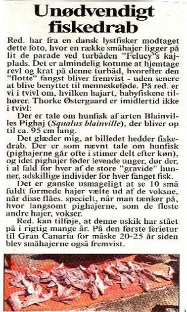 shark Cavalier & Blue Marlin Sport Fishing Gran Canaria