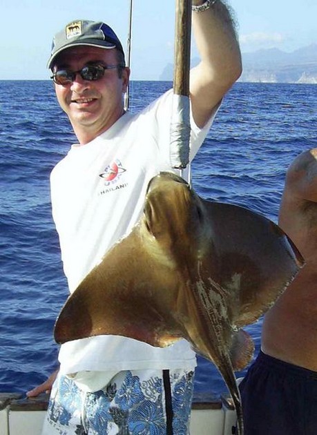 cownose ray Cavalier & Blue Marlin Sport Fishing Gran Canaria