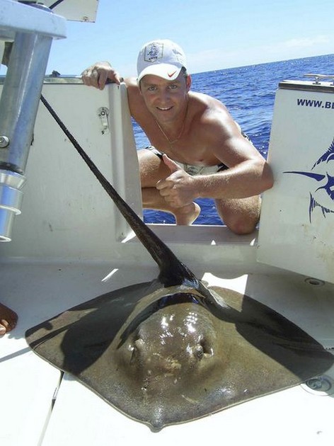 common stingray Cavalier & Blue Marlin Sport Fishing Gran Canaria
