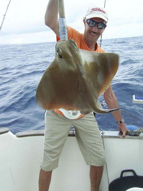 common stingray Cavalier & Blue Marlin Sport Fishing Gran Canaria