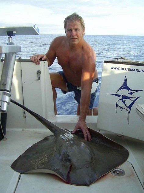 common stingray Cavalier & Blue Marlin Sport Fishing Gran Canaria