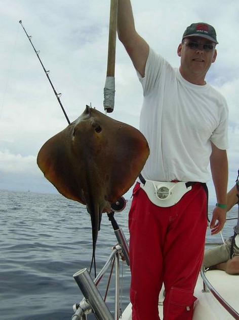 common stingray Cavalier & Blue Marlin Sport Fishing Gran Canaria