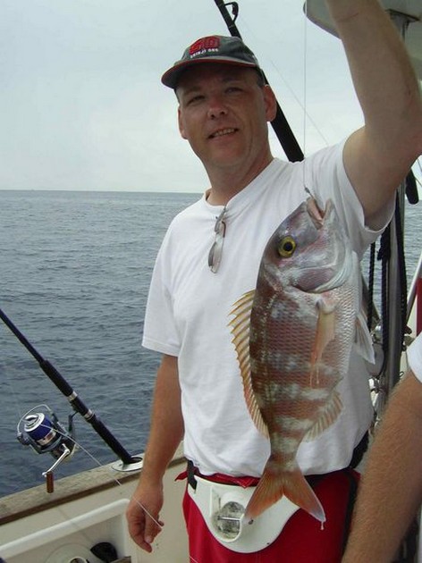 redbanded seabream Cavalier & Blue Marlin Sport Fishing Gran Canaria