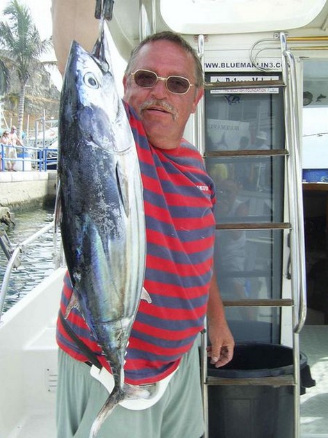 skipjack tuna Cavalier & Blue Marlin Sport Fishing Gran Canaria