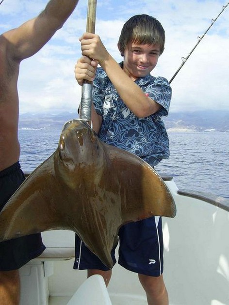 eagle ray Cavalier & Blue Marlin Sport Fishing Gran Canaria