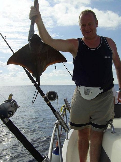 eagle ray Cavalier & Blue Marlin Sport Fishing Gran Canaria