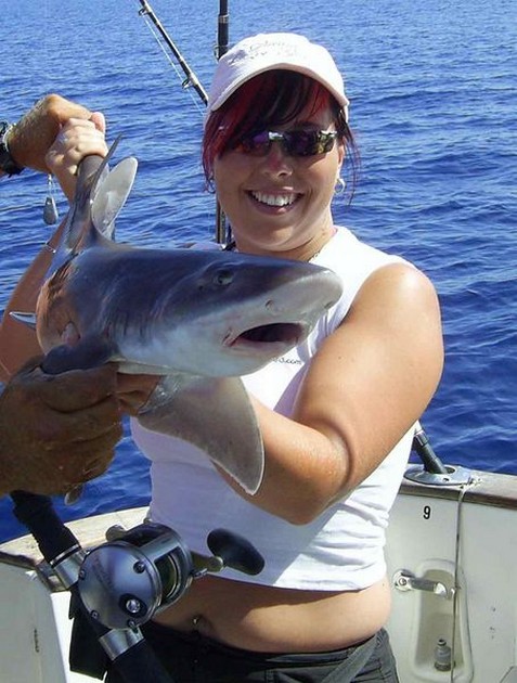 smooth hound Cavalier & Blue Marlin Sport Fishing Gran Canaria