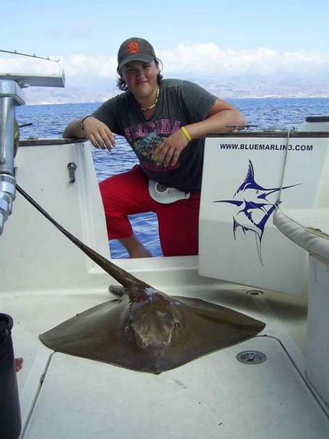 common stingray Cavalier & Blue Marlin Sport Fishing Gran Canaria