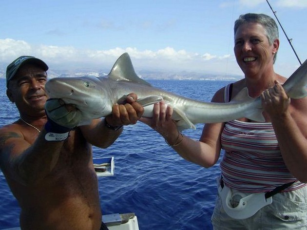 tope Cavalier & Blue Marlin Sport Fishing Gran Canaria