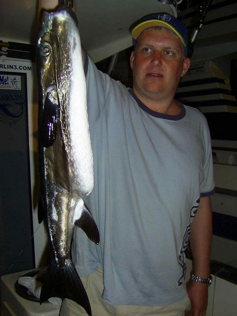 pufferfish Cavalier & Blue Marlin Sport Fishing Gran Canaria