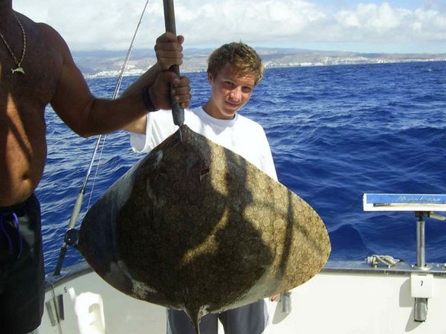butterfly ray Cavalier & Blue Marlin Sport Fishing Gran Canaria