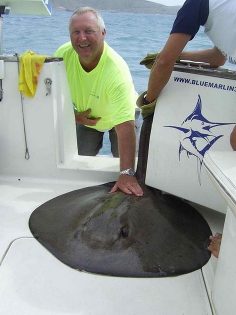 roughtail stingray Cavalier & Blue Marlin Sport Fishing Gran Canaria
