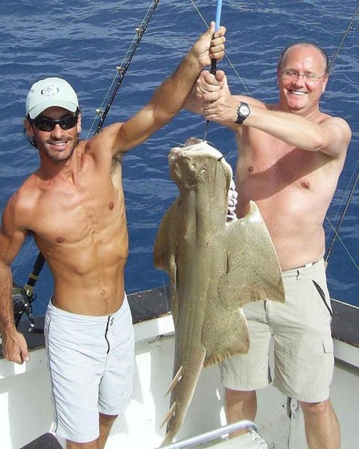 angelshark Cavalier & Blue Marlin Sport Fishing Gran Canaria