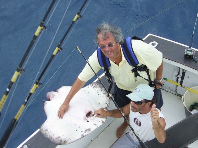 common stingray Cavalier & Blue Marlin Sport Fishing Gran Canaria
