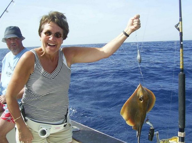 common stingray Cavalier & Blue Marlin Sport Fishing Gran Canaria