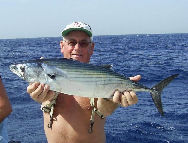 north atlantic bonito Cavalier & Blue Marlin Sport Fishing Gran Canaria