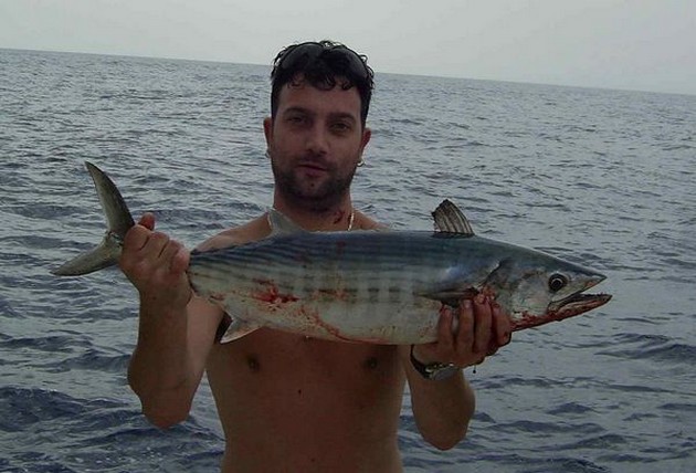 north atlantic bonito Cavalier & Blue Marlin Sport Fishing Gran Canaria