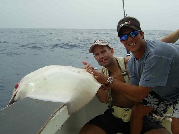 common stingray Cavalier & Blue Marlin Sport Fishing Gran Canaria