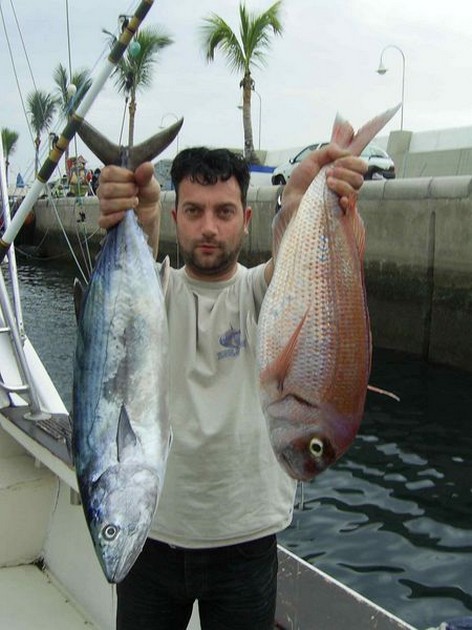 bonito & snapper Cavalier & Blue Marlin Sport Fishing Gran Canaria