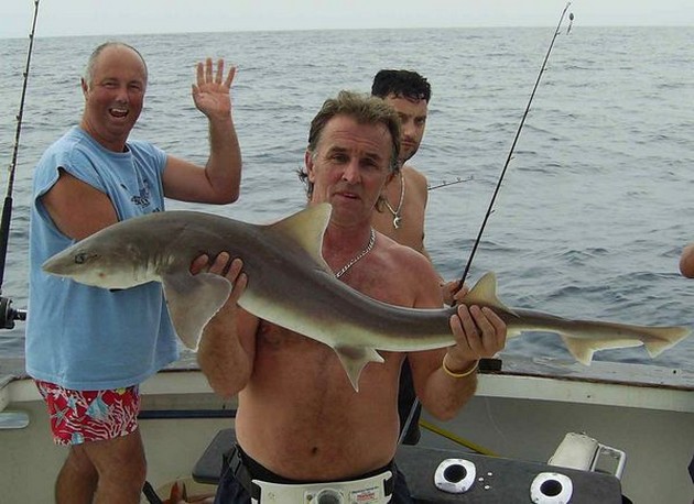 smooth hound Cavalier & Blue Marlin Sport Fishing Gran Canaria