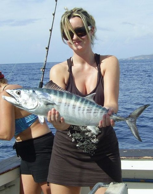 north atlantic bonito Cavalier & Blue Marlin Sport Fishing Gran Canaria