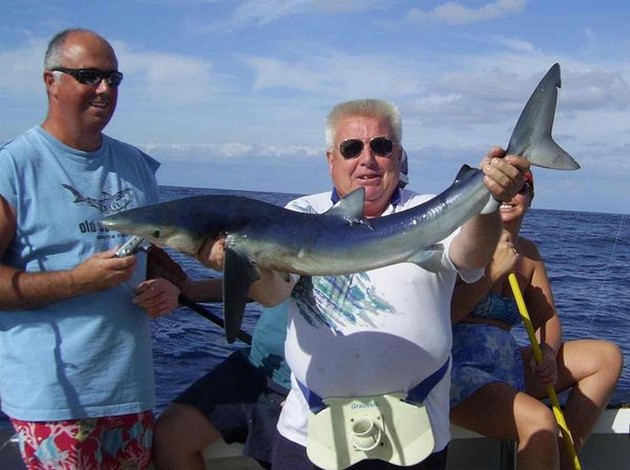 blue shark Cavalier & Blue Marlin Sport Fishing Gran Canaria