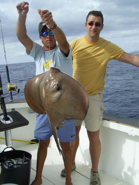 roughtail stingray Cavalier & Blue Marlin Sport Fishing Gran Canaria