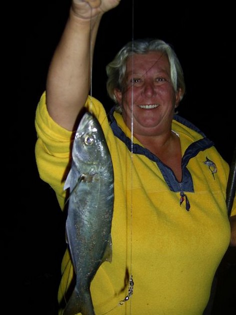 kingfish Cavalier & Blue Marlin Sport Fishing Gran Canaria