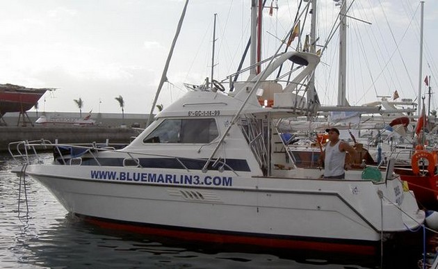 De vangsten van de voorgaande dagen kunnen we als bevredigend - Cavalier & Blue Marlin Sport Fishing Gran Canaria