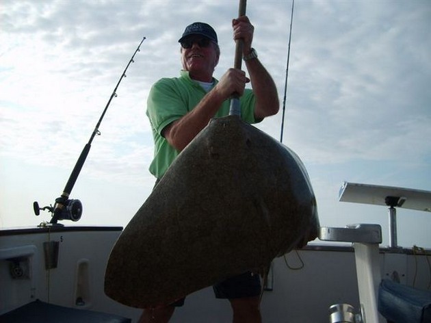 butterfly ray Cavalier & Blue Marlin Sport Fishing Gran Canaria