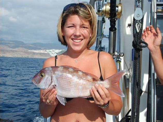 red banded seabream Cavalier & Blue Marlin Sport Fishing Gran Canaria