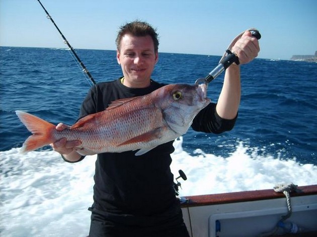 29/12 red snapper Cavalier & Blue Marlin Sport Fishing Gran Canaria