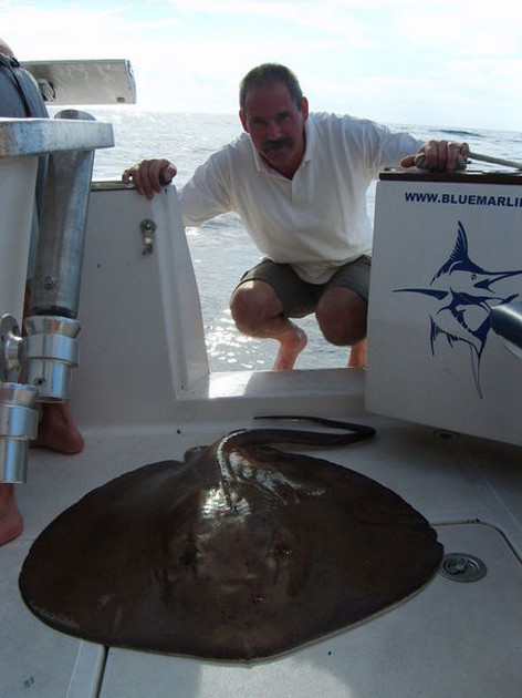 roughtail stingray Cavalier & Blue Marlin Sport Fishing Gran Canaria