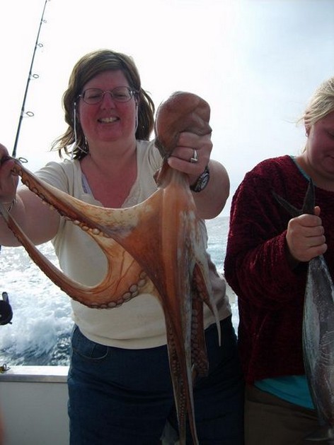 octopus Cavalier & Blue Marlin Sport Fishing Gran Canaria