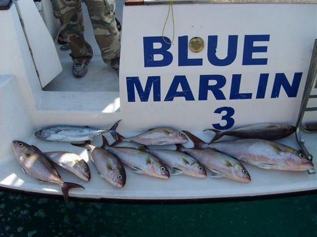 Because I stayed a couple of days outdoors, I couldn`d - Cavalier & Blue Marlin Sport Fishing Gran Canaria