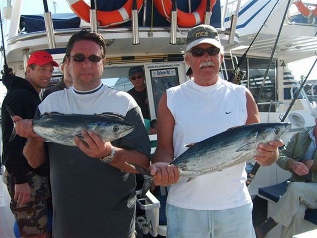 23/01 noth atlantic bonito Cavalier & Blue Marlin Sport Fishing Gran Canaria