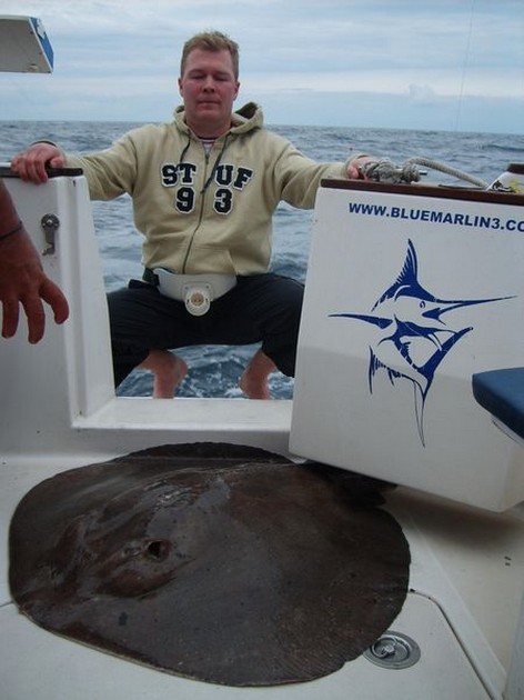 31/01 roughtail stingray Cavalier & Blue Marlin Sport Fishing Gran Canaria