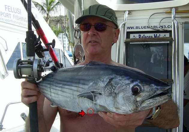 07/02 new line record Cavalier & Blue Marlin Sport Fishing Gran Canaria