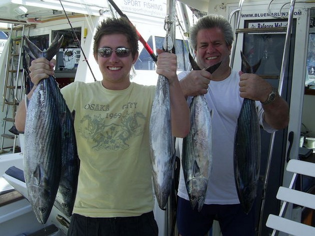 north atlantic bonito Cavalier & Blue Marlin Sport Fishing Gran Canaria