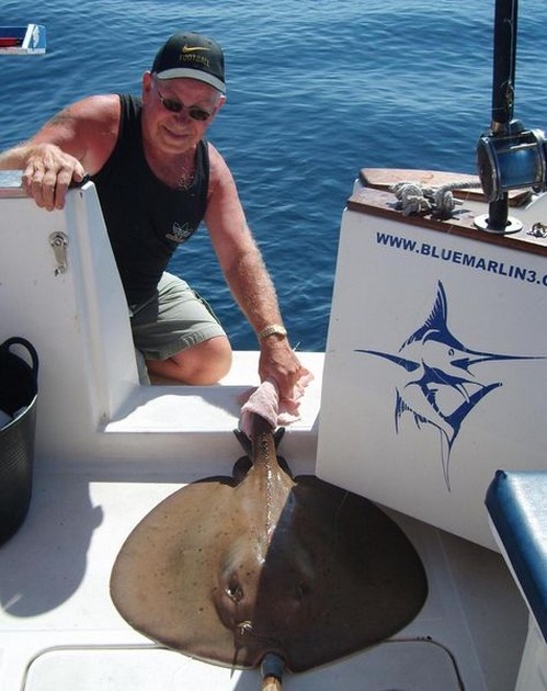 round stingray Cavalier & Blue Marlin Sport Fishing Gran Canaria
