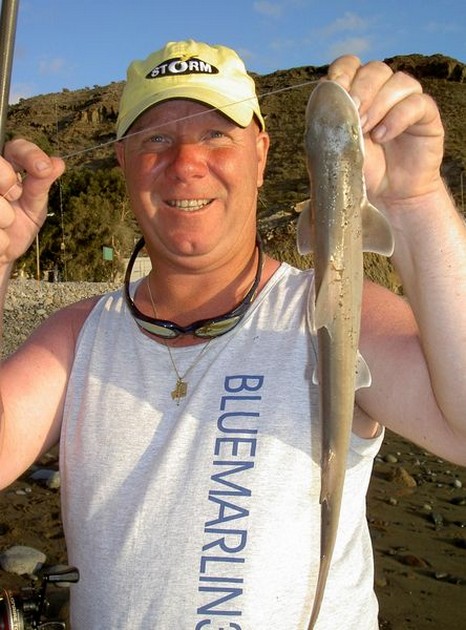 dogfish Cavalier & Blue Marlin Sport Fishing Gran Canaria