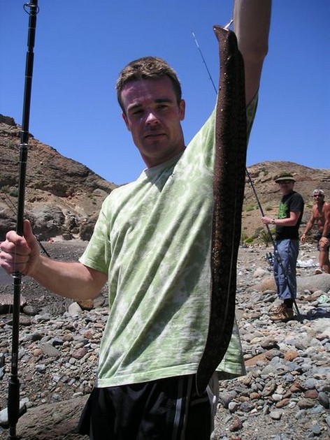 brown moray Cavalier & Blue Marlin Sport Fishing Gran Canaria
