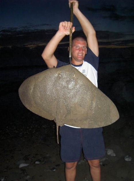 butterfly ray Cavalier & Blue Marlin Sport Fishing Gran Canaria