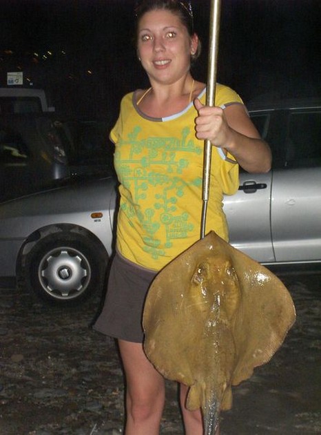 common stingray Cavalier & Blue Marlin Sport Fishing Gran Canaria