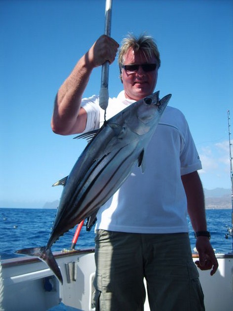 skipjack tuna Cavalier & Blue Marlin Sport Fishing Gran Canaria