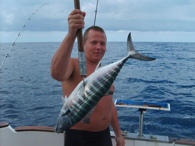 13/03 north atlantic bonito Cavalier & Blue Marlin Sport Fishing Gran Canaria
