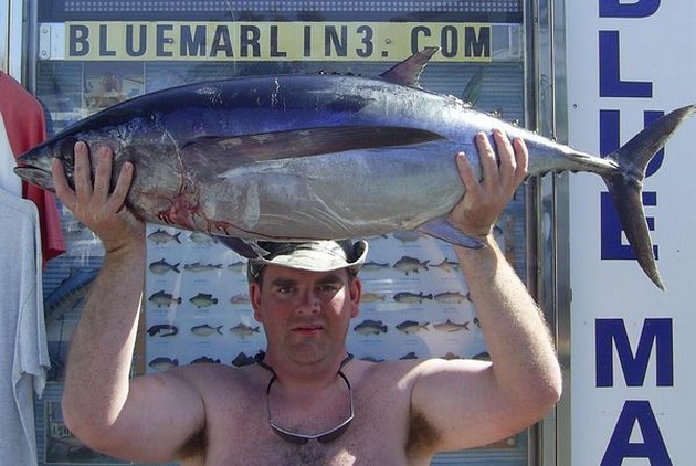 Heute haben wir die ersten Albacores der neuen Saison gefangen. - Cavalier & Blue Marlin Sport Fishing Gran Canaria