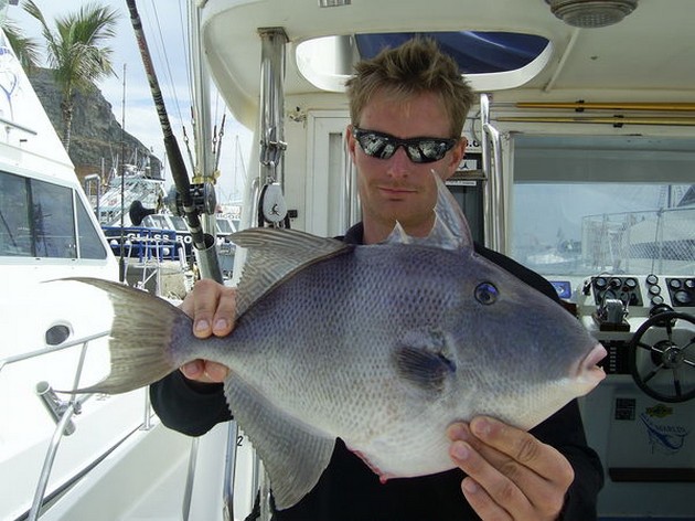 02/04 triggerfish Cavalier & Blue Marlin Sport Fishing Gran Canaria